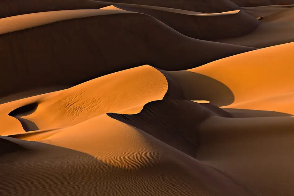 Momeni, Mohammadreza: Morning Light