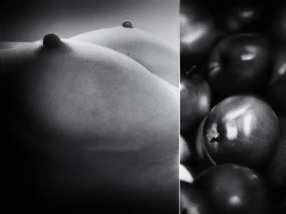 Droste, Holger: Garden of Eden
