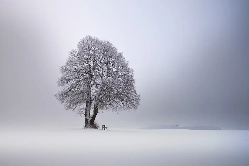 Schumacher, Nicolas: Winter light