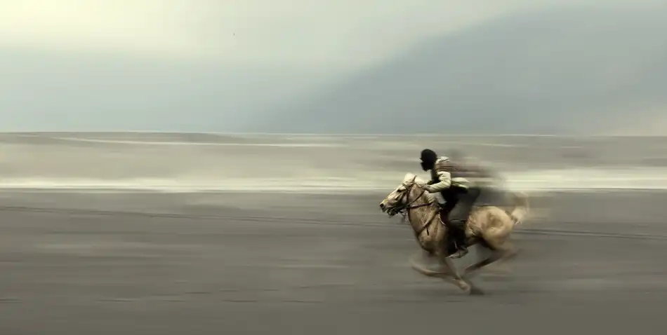 Kisworo, Sebastian: Flying horse
