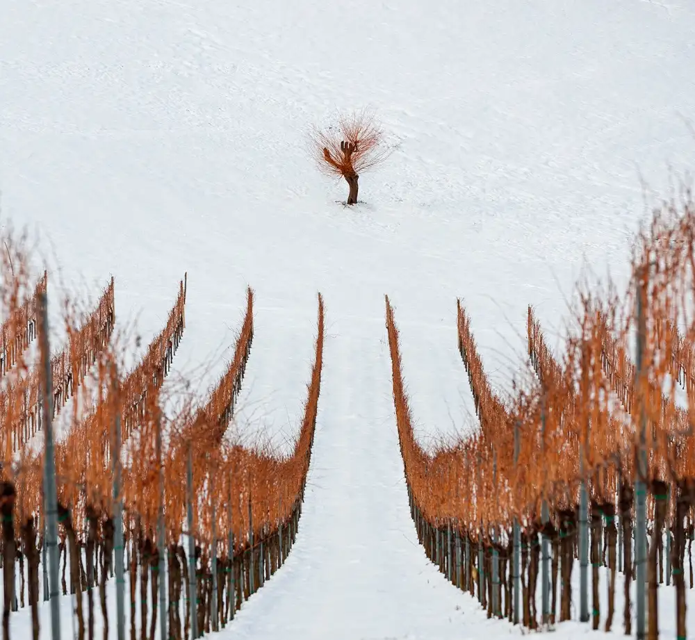 Kravanja, Jure: Winter