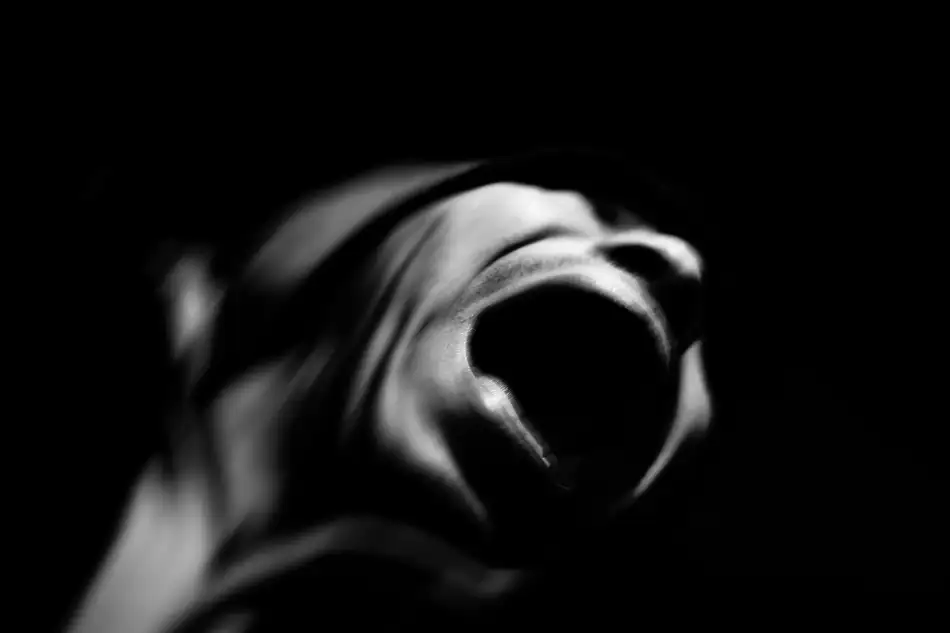 Ikeda, Keisuke: Scream