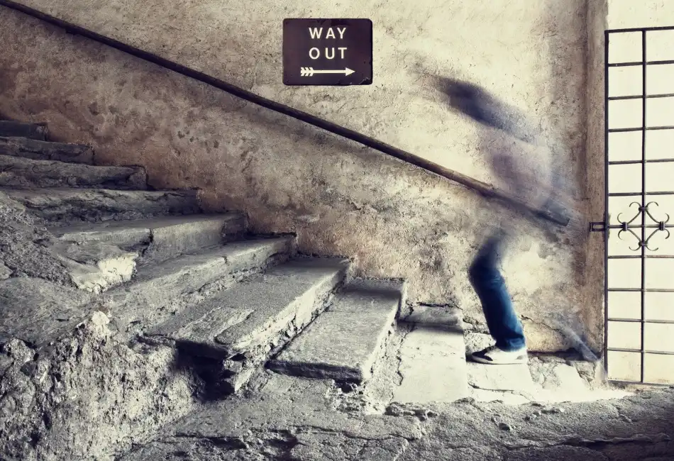 Pajic, Samir: way in