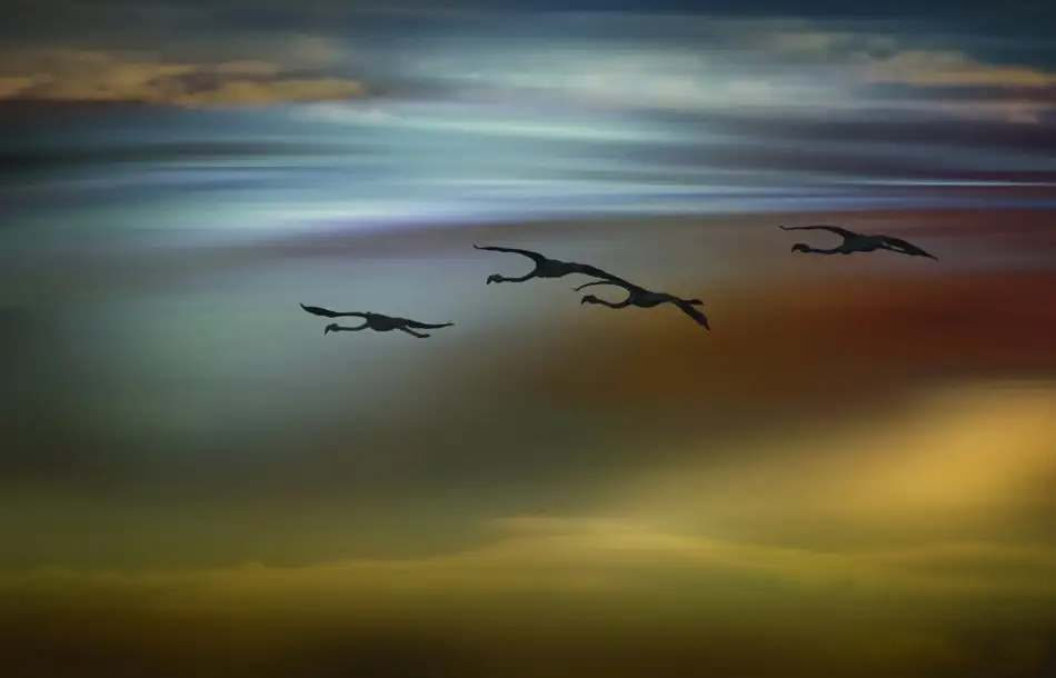 Bautista., Nieves: the flight