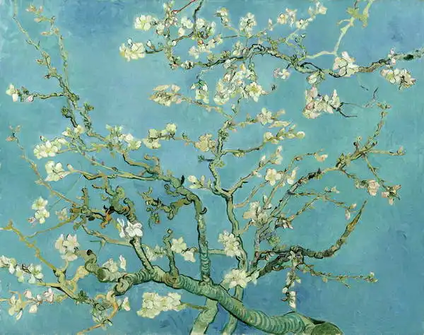 Gogh, Vincent van: Almond branch
