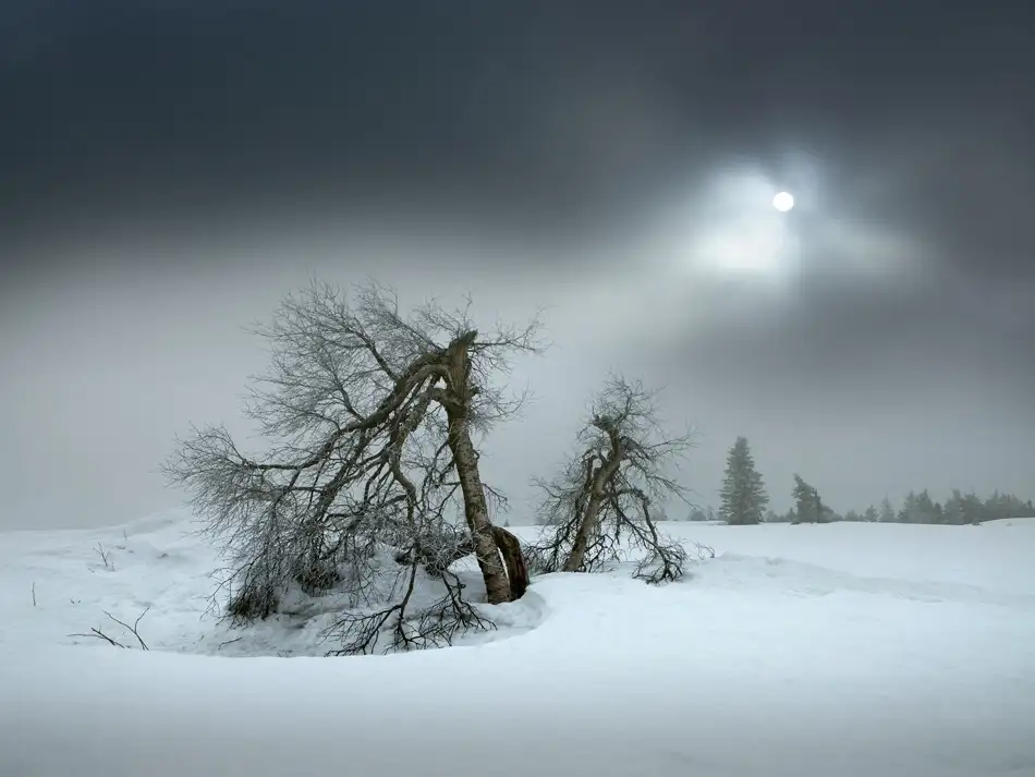 Schumacher, Nicolas: last days of winter