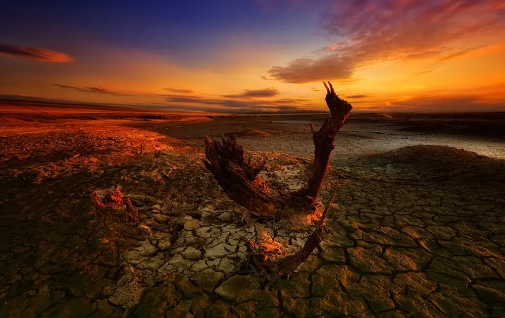 Krol, Bax Piotr: Bloody sunset