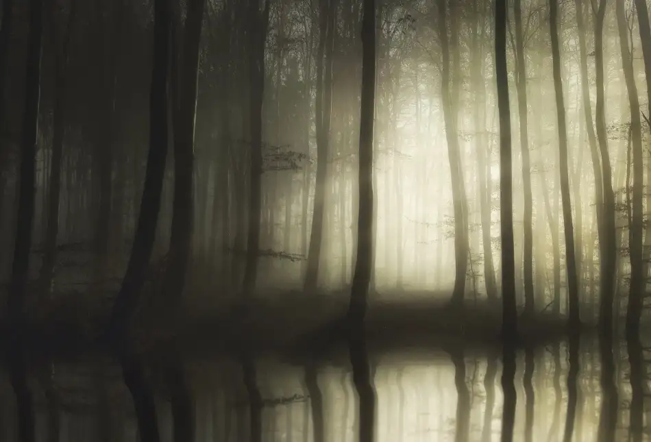 Maier, Norbert: absolute Stille