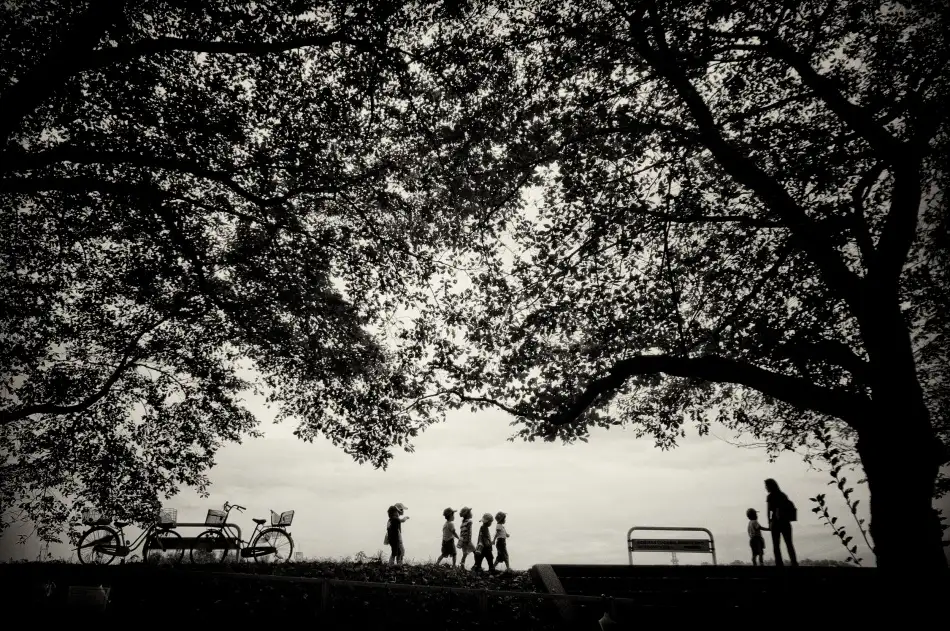 Tomihisa, Kouji: A walk of a kindergarten