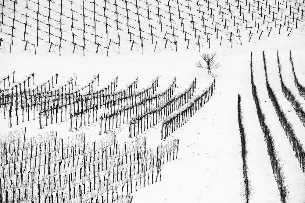 Kravanja, Jure: Winter Lines