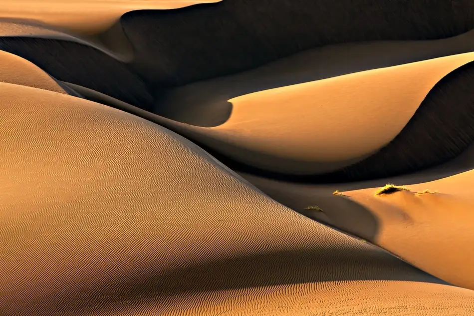 Momeni, Mohammadreza: Golden Land