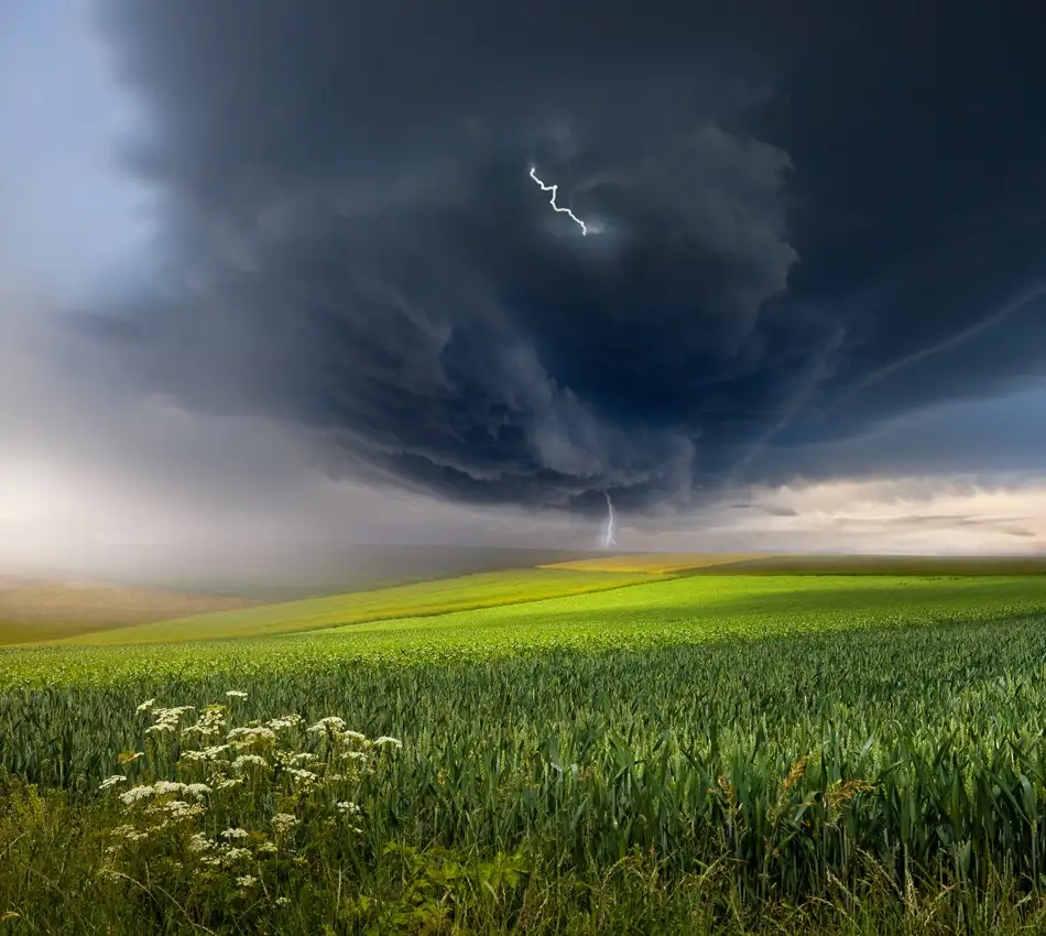 Schumacher, Nicolas: June storm
