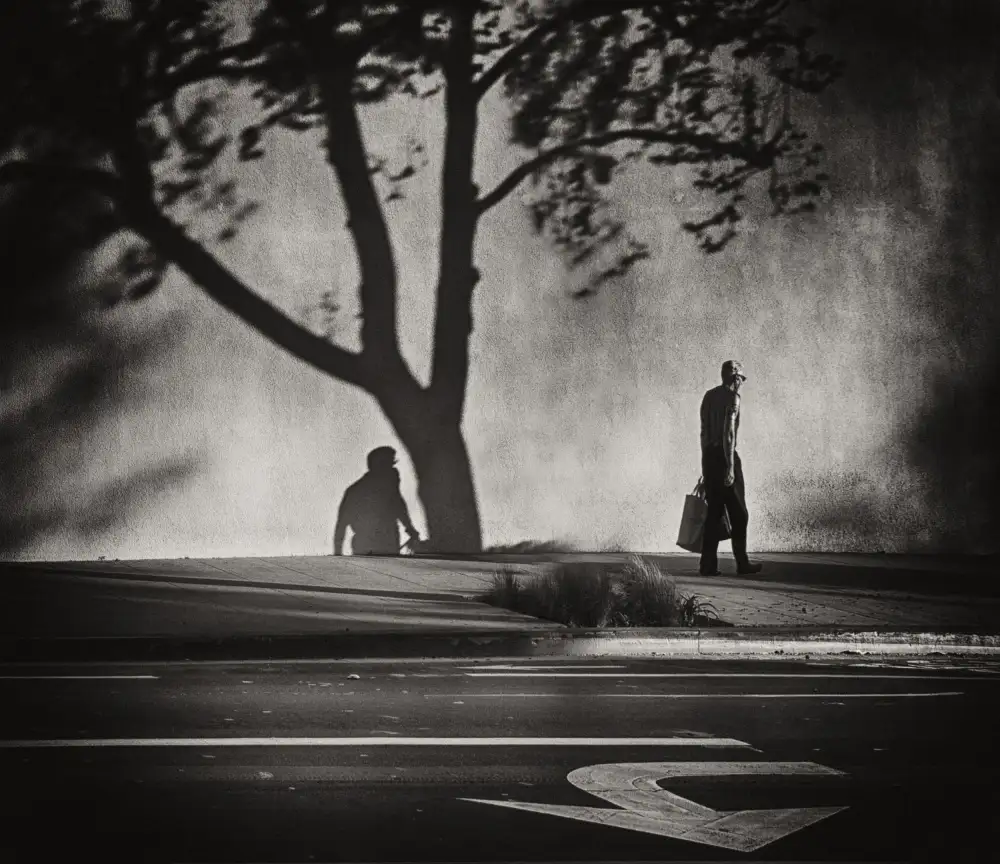 Labagnara, Roxana: Trees, shadows and signs on Montana Avenue