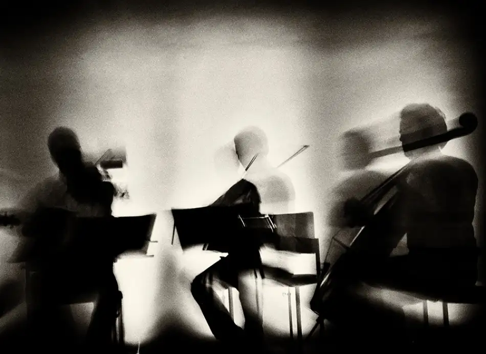 Momanu, Mirela: Waves Of Music