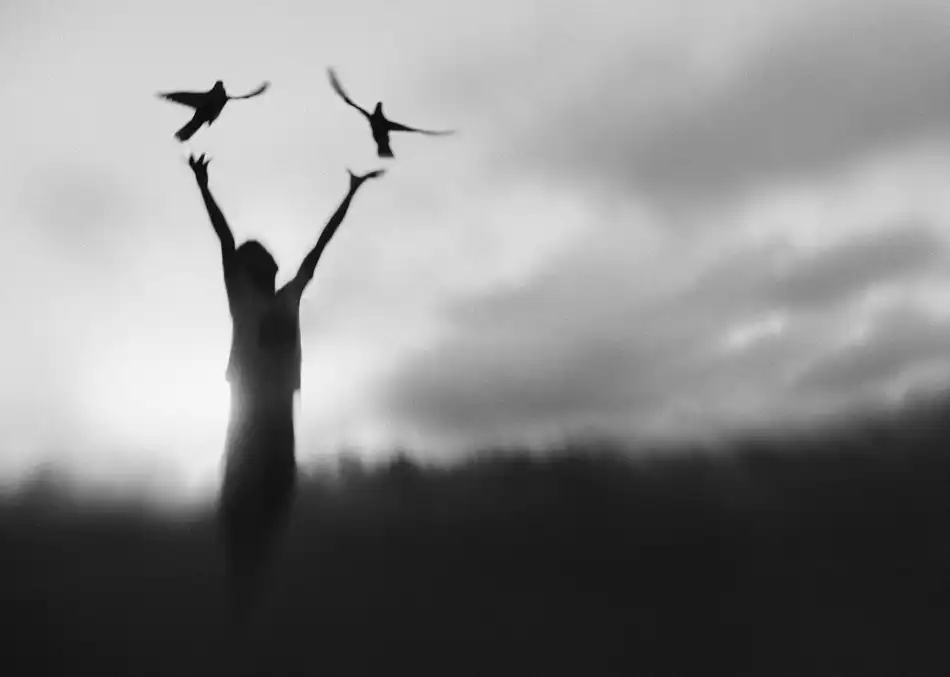 Kisworo, Sebastian: Free fly