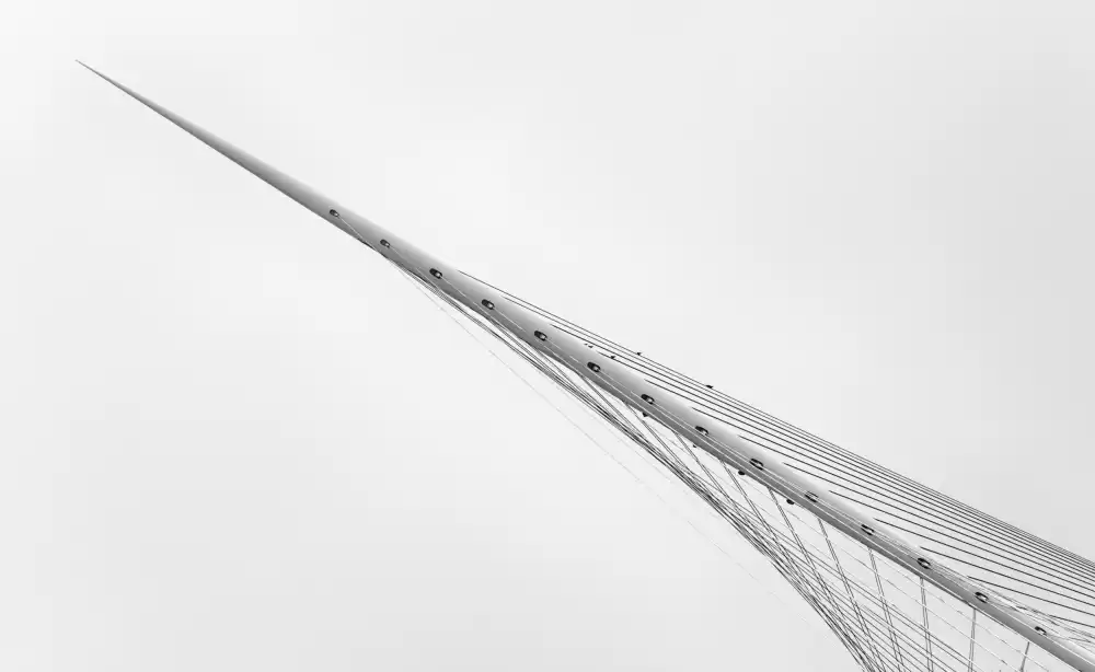 Wiel, van Jeroen: Die Brücke