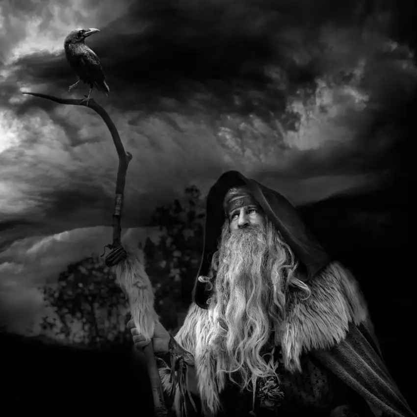 Cobo, Antonio Marco: le druide et le corbeau
