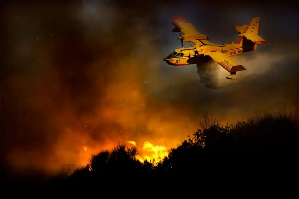 Grambone, Antonio: Fire in the National Park of Cilento #3