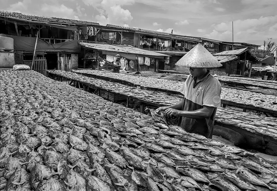 Kisworo, Sebastian: Allevatore di pesce salato
