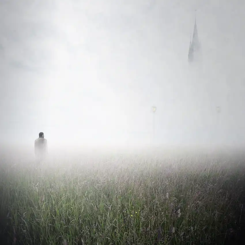 Laur, Vladimir: fog