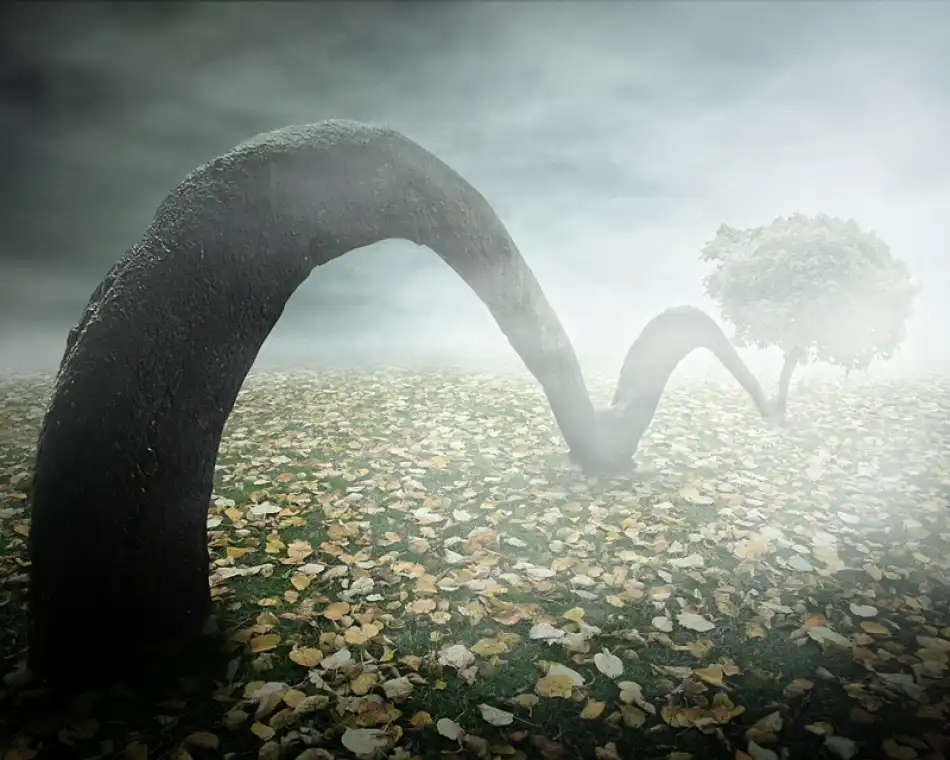 Laur, Vladimir: jumping tree