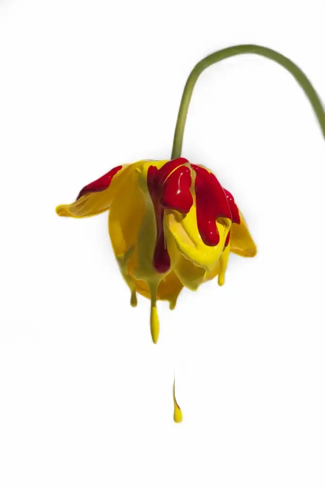 Mathiesen, Kent: Crying flower
