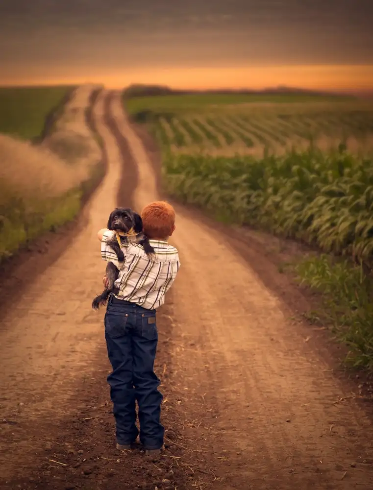 Olson, Jake: Run Away