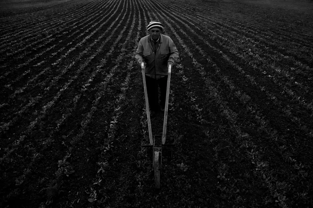umitbinzet: L'agriculteur dans la file