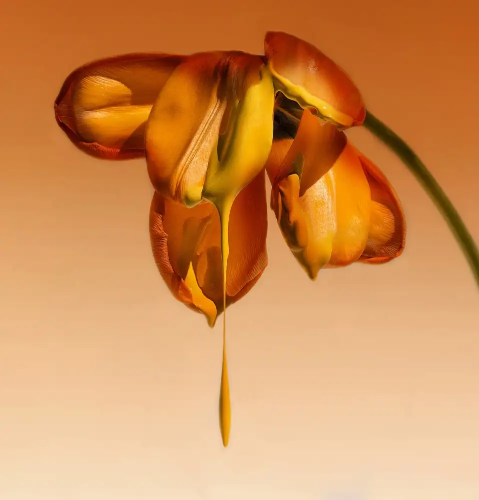 Mathiesen, Kent: Tears of a flower