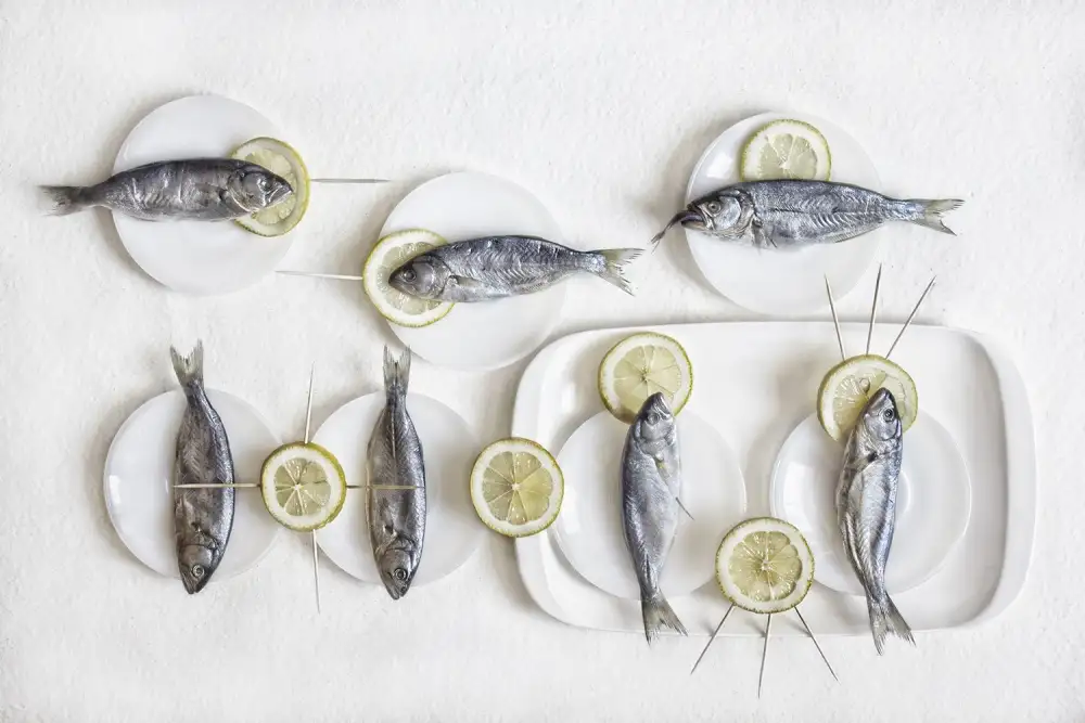 Dim, - Dimitar: Still Life with Fish