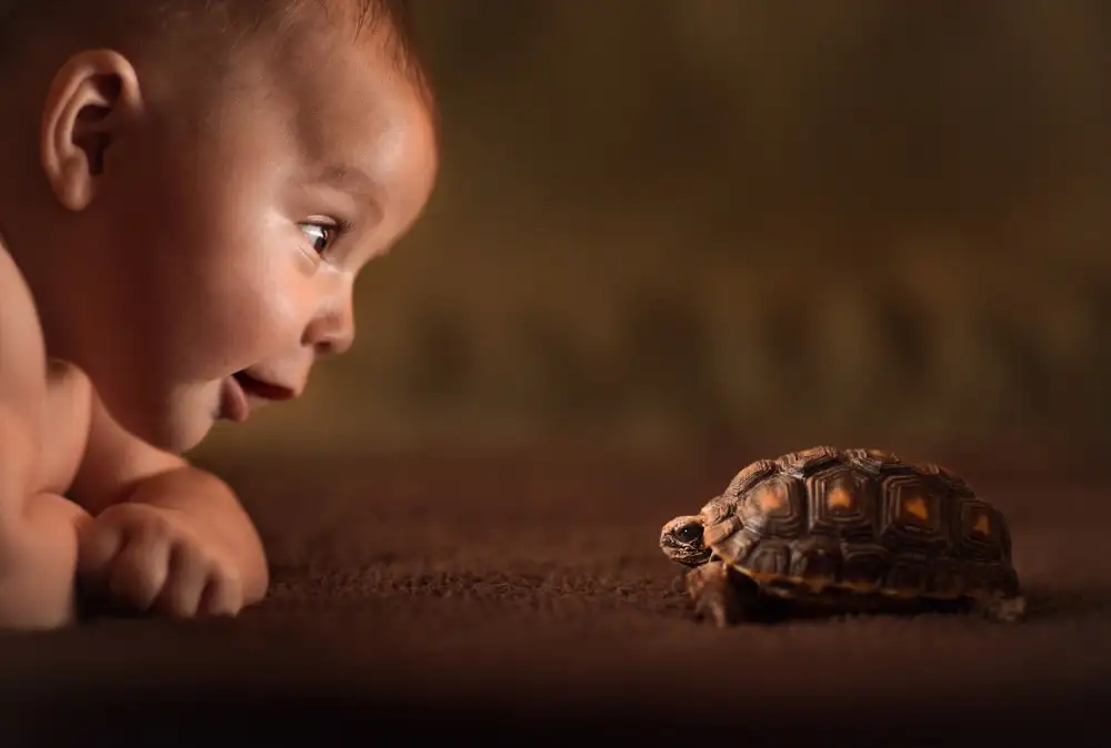 Olson, Jake: Babies