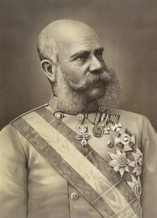 Unknown: Portrait of Emperor Franz Joseph I.