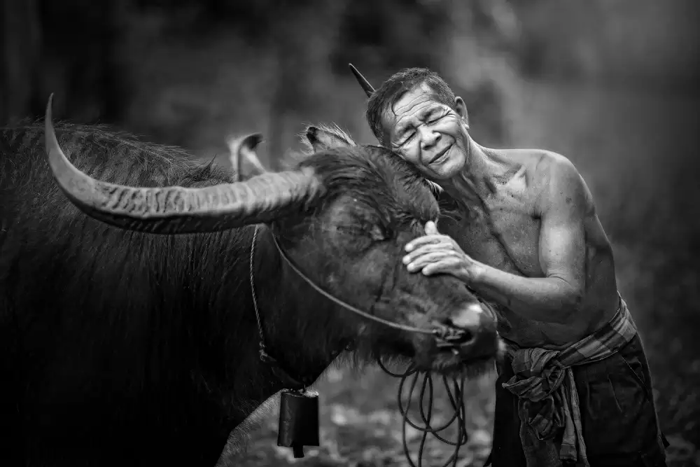 Intarob, Sarawut: Amore amico