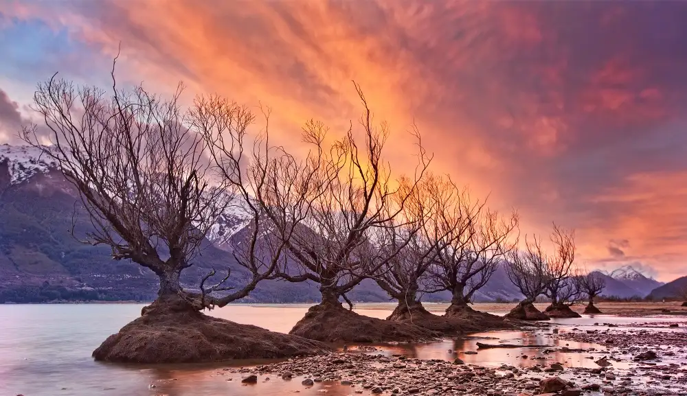 Zhang, Yan: Glenorchy in fiamme