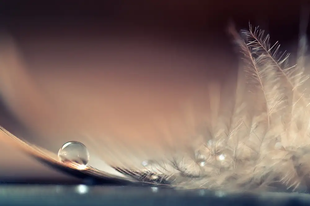 Doronin, Dmitry: Stories of Drops