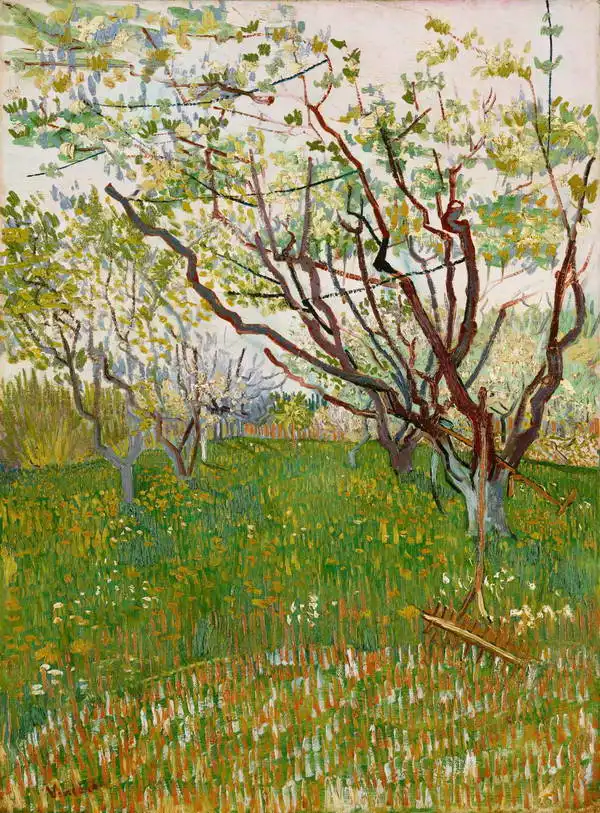 Gogh, Vincent van: Verger en fleurs