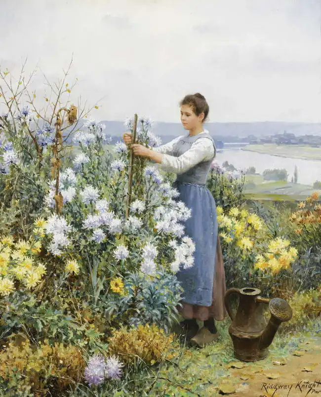 Knight, Daniel Ridgway: Chrysanthemums