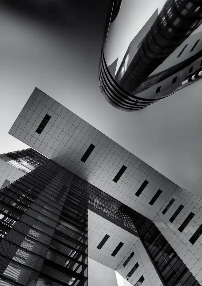 Jonkman, Gerard: Mirrored