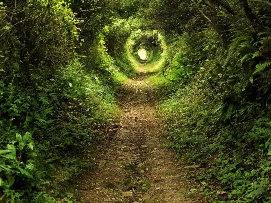 Unknown: Licht am Ende des Tunnels