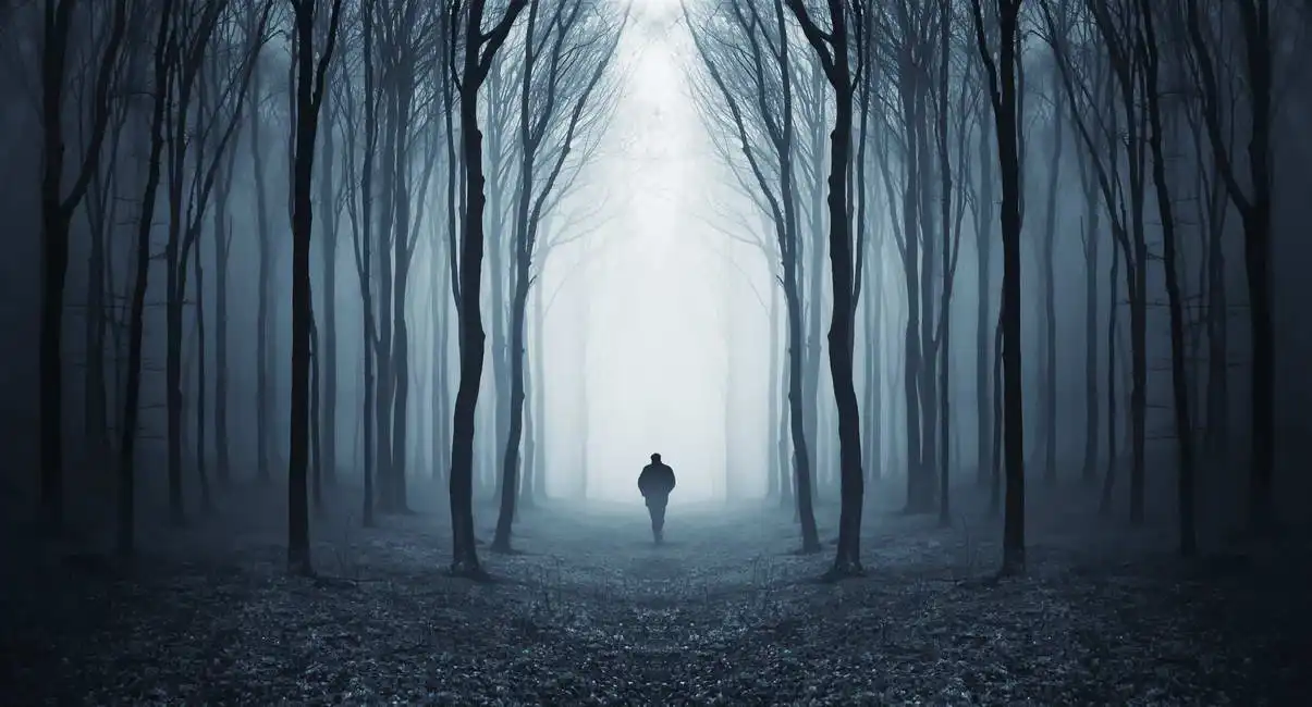 Unknown: L