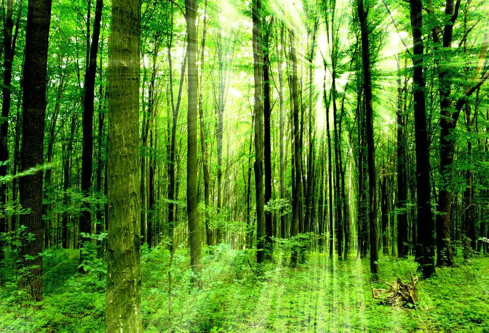 Unknown: Vert