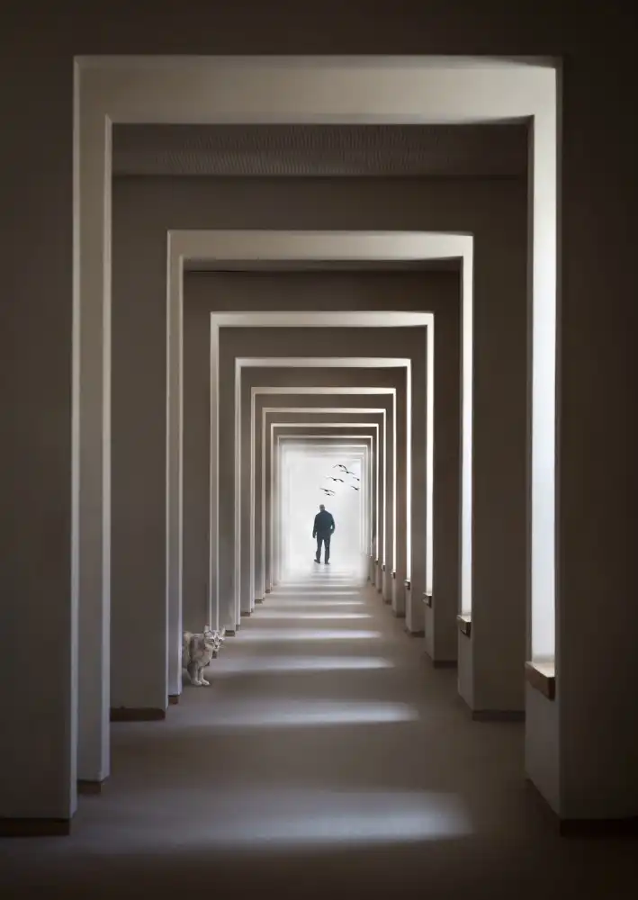 Eliash, Tomer: The Cat Who Walks Through Walls