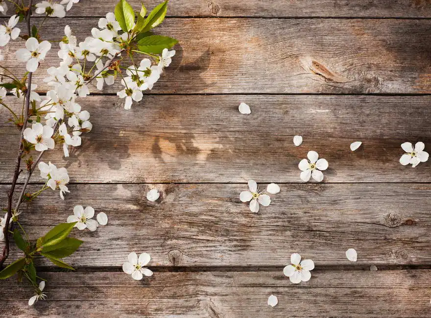 Unknown: Flowers on a wooden background