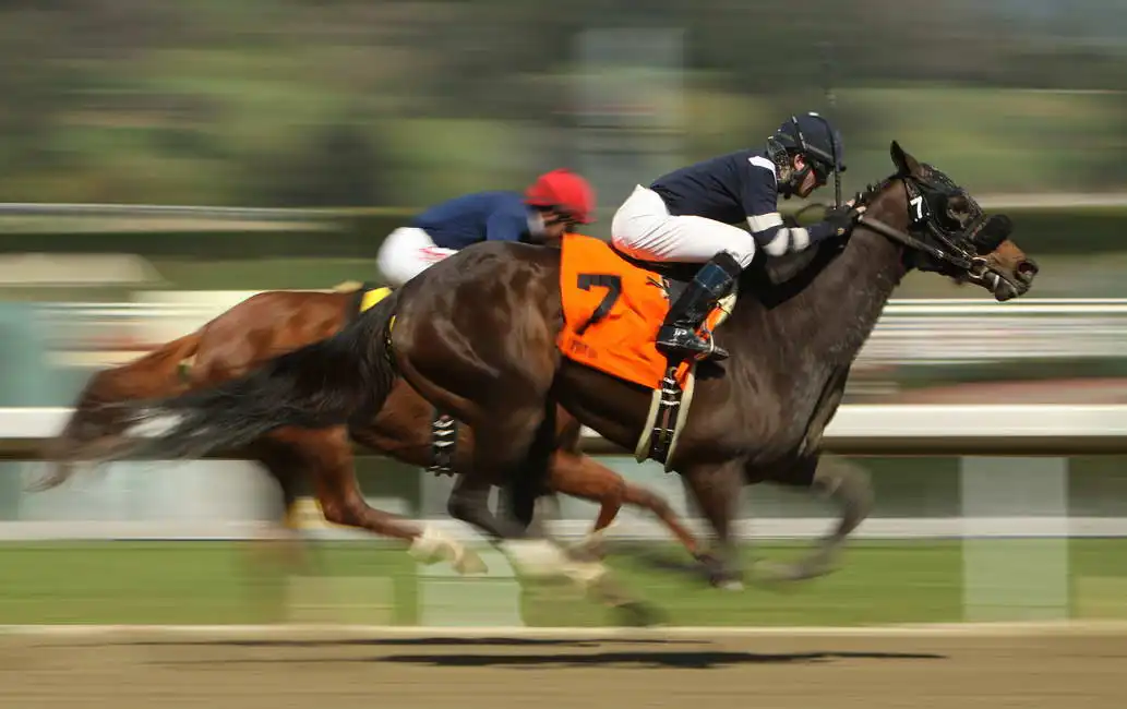 Unknown: Home Stretch (horses)