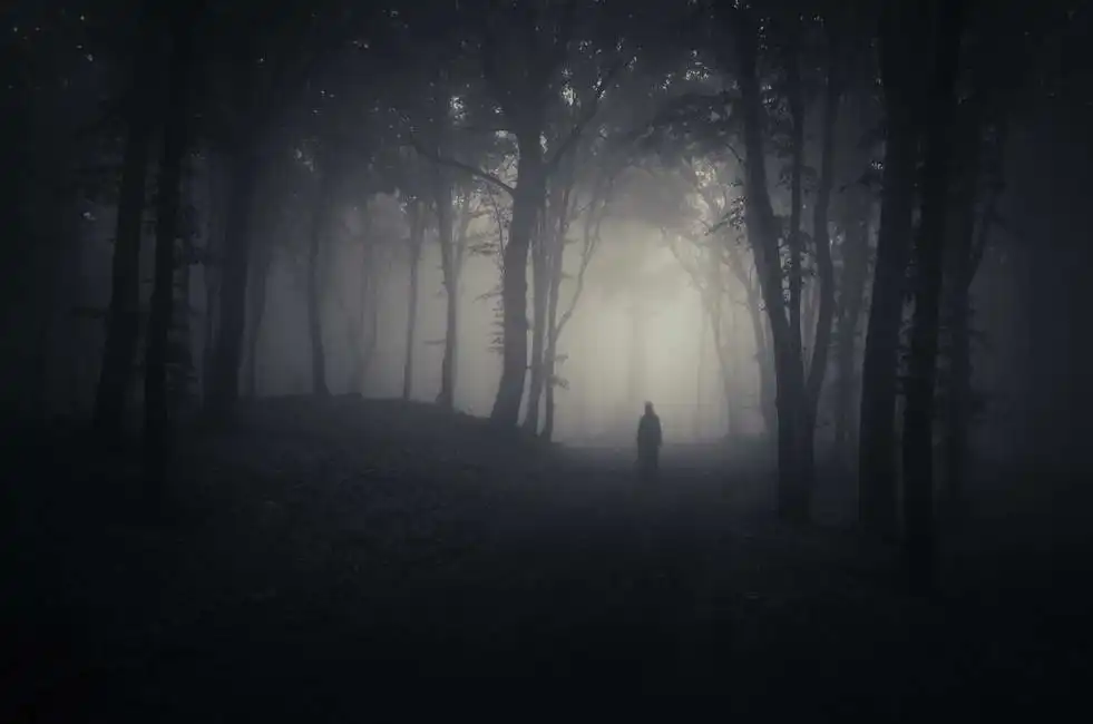 Unknown: Strange figure in a haunted forest