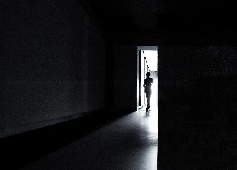 Jonkman, Gerard: The never ending light