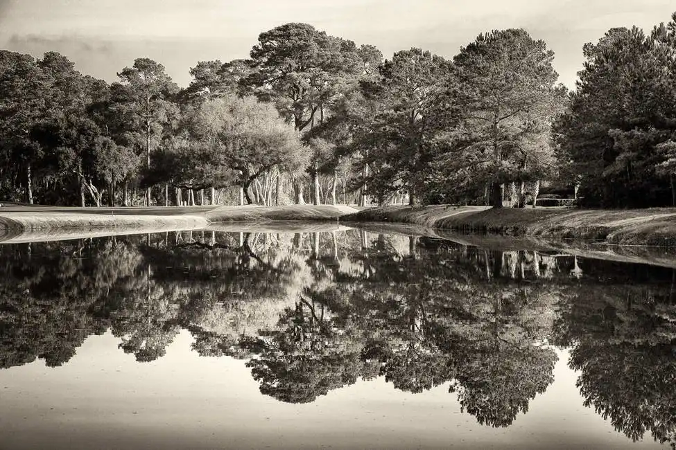 Unknown: Reflection oaks