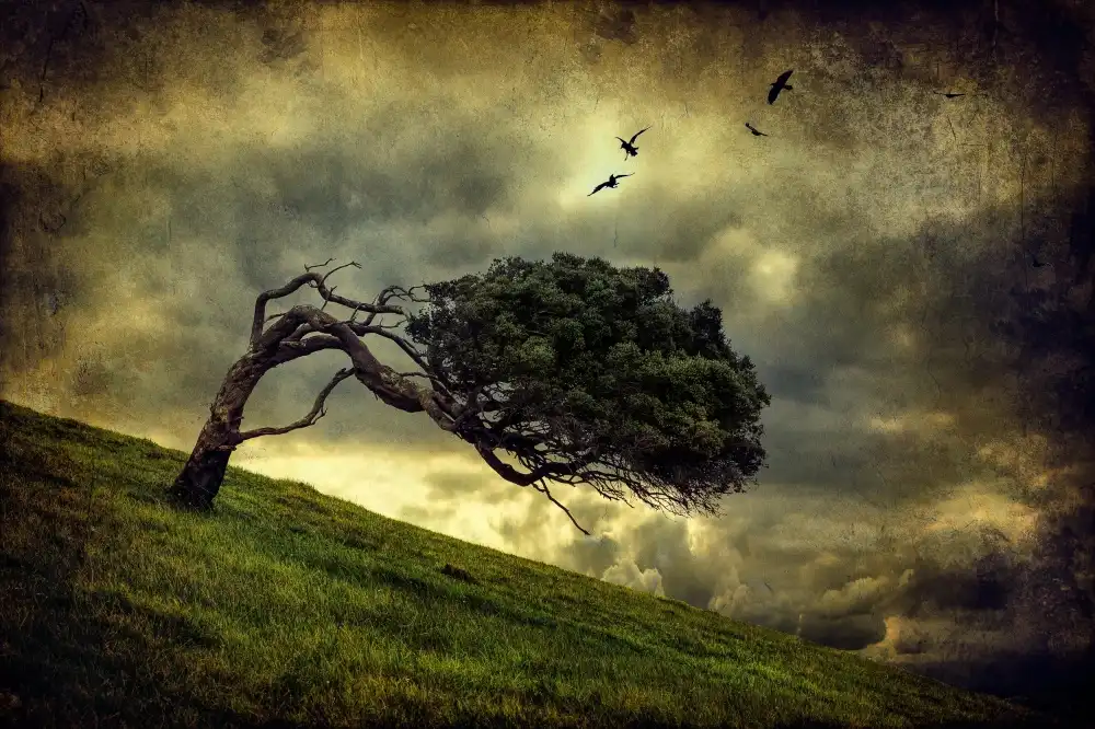 Elgar, Peter: Winds of Change