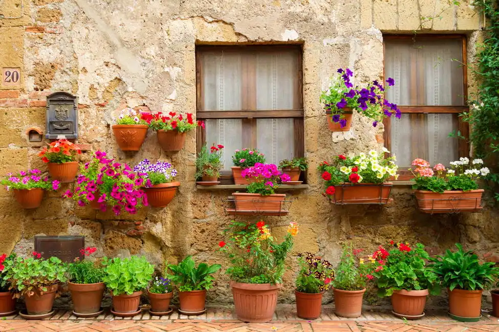 Unknown: Finestre con fiori, Italia