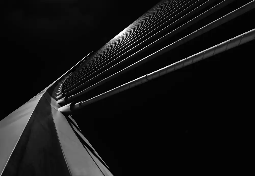 Jonkman, Gerard: Bridge Lines